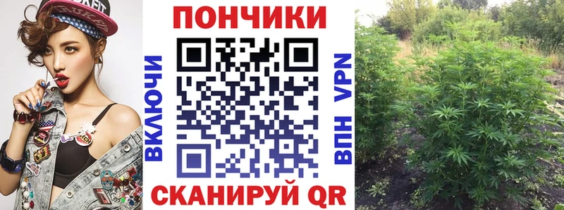 МАРИХУАНА AK-47  мега онион  Рыбинск 